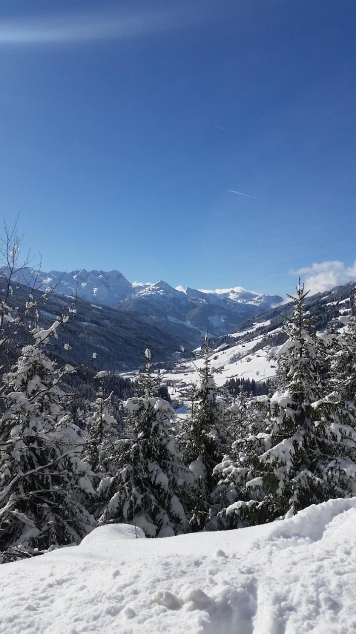 Alpenrose Hotel-garni