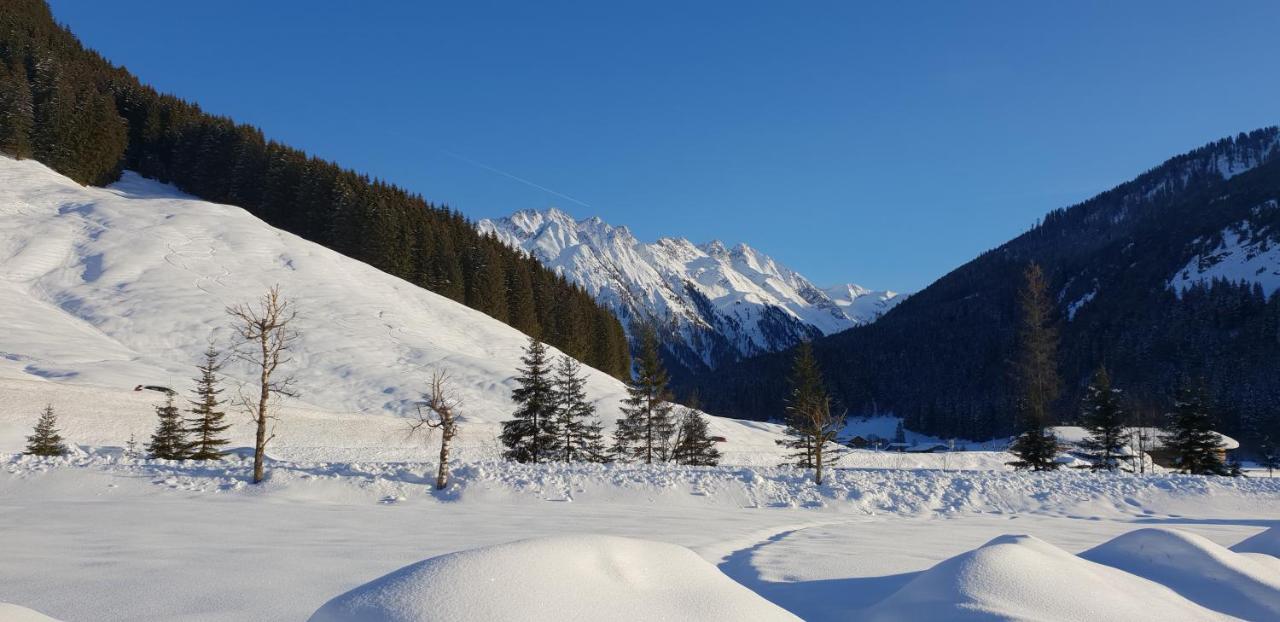 Hotel Alpenrose Hotel-garni Gerlos
